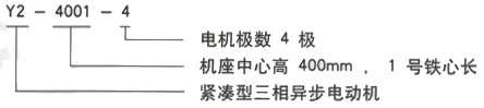 YR系列(H355-1000)高壓三相異步電機(jī)西安西瑪電機(jī)型號(hào)說(shuō)明 YR系列(H355-1000)高壓三相異步電機(jī)西安西瑪電機(jī)型號(hào)說(shuō)明