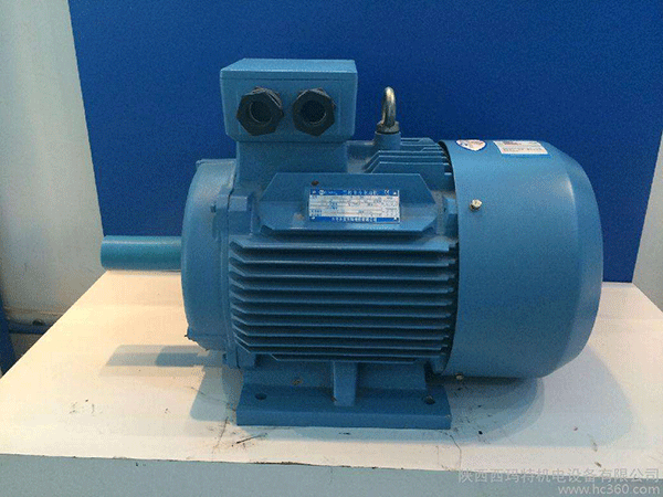 高效節(jié)能電機(jī)是西安泰富西瑪未來商業(yè)發(fā)展的方向。