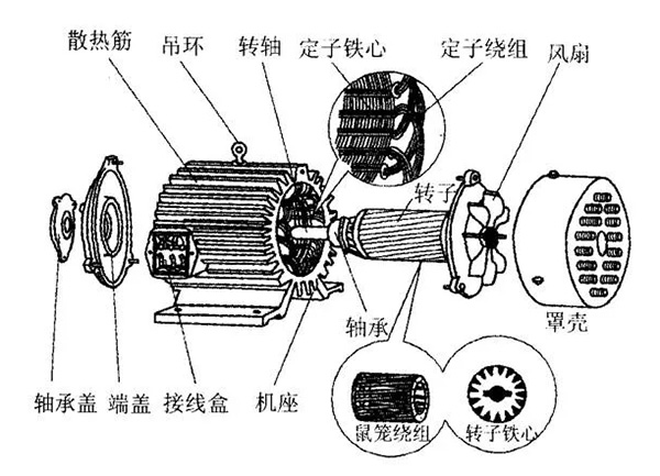 三相異步電動機的六種分類方法及具體分類。