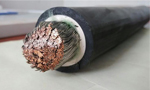 西瑪電機(jī)安裝引線(xiàn)和電纜頭的注意事項(xiàng)?！靼膊﹨R儀器儀表有限公司